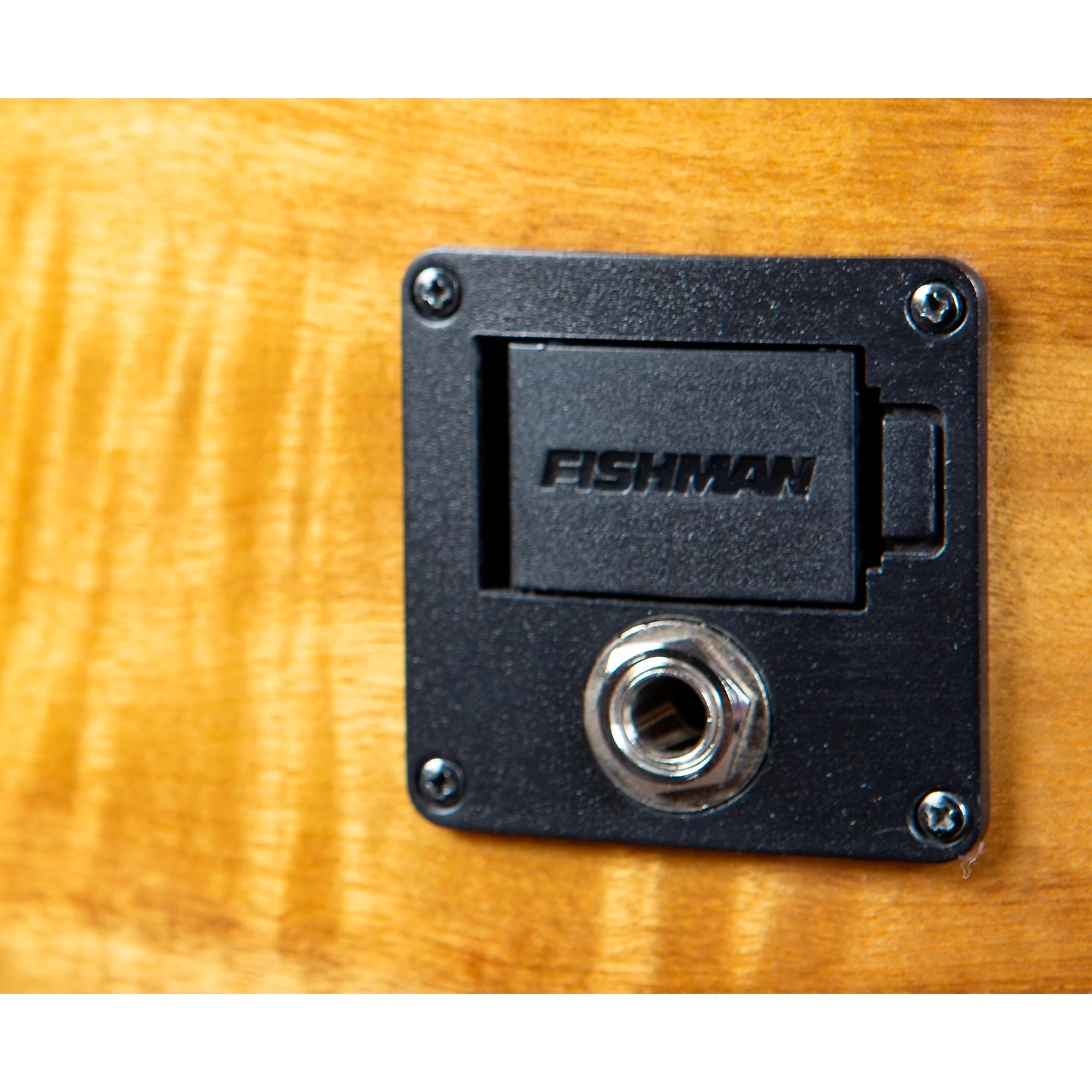 Breedlove Pursuit Exotic S CE 12-SUN