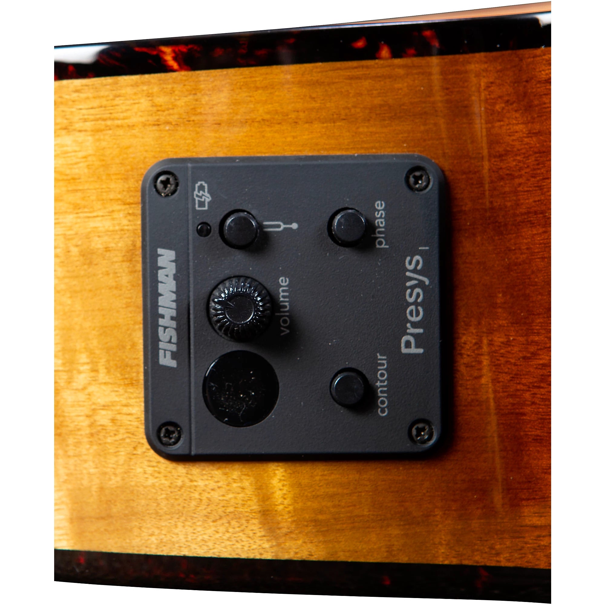 Breedlove Pursuit Exotic S CE 12-SUN