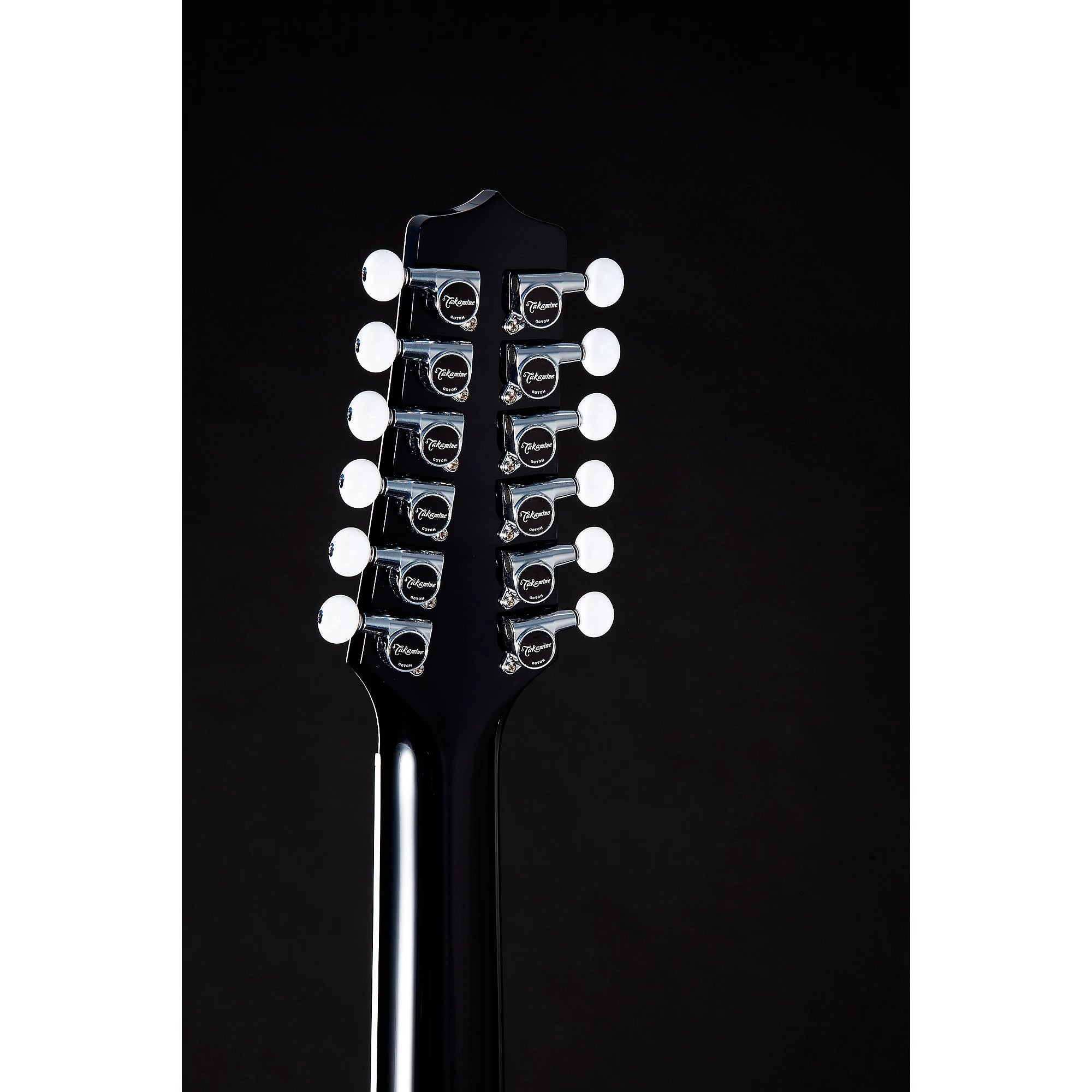 Takamine EF381DX 12-BLK