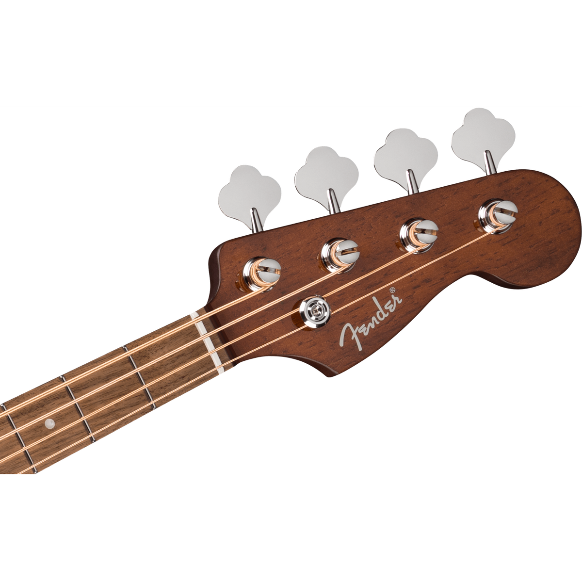 Cabeza del bajo electroacústico Fender Kingman
