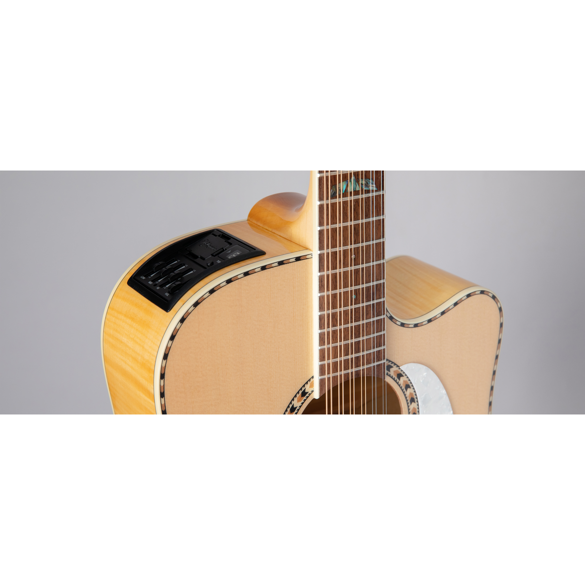 Detalle de la docerola Takamine GD74CE-12U
